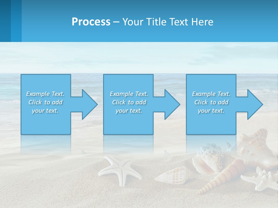 Seashells And Starfish On The Beach Powerpoint Template PowerPoint Template