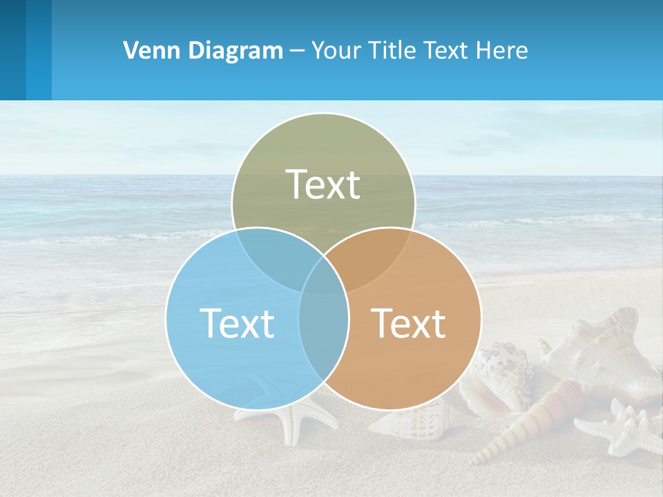 Seashells And Starfish On The Beach Powerpoint Template PowerPoint Template