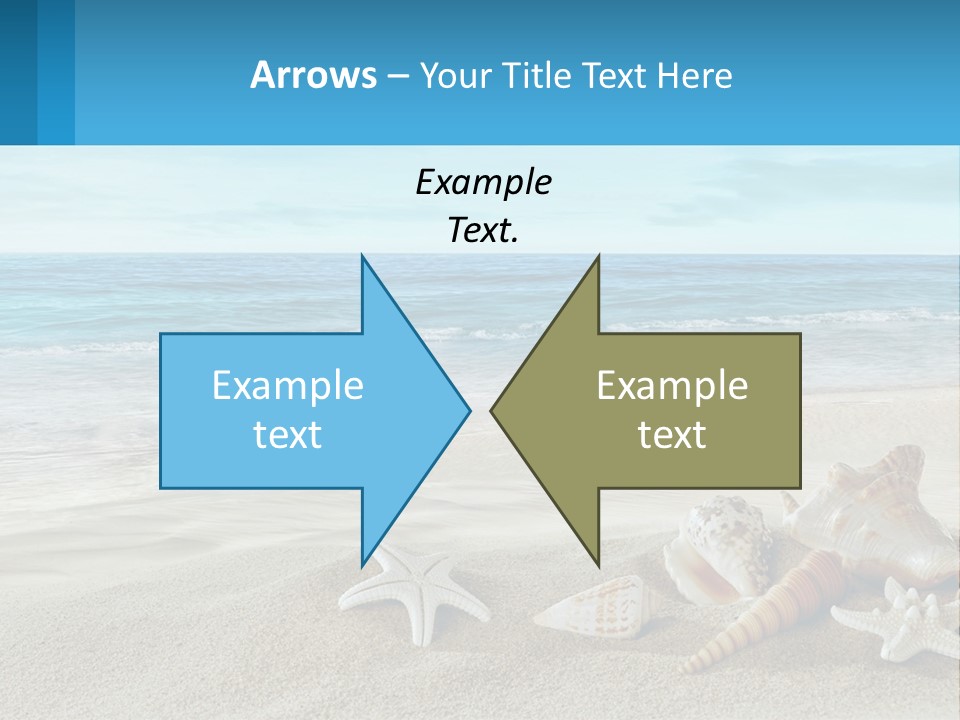 Seashells And Starfish On The Beach Powerpoint Template PowerPoint Template