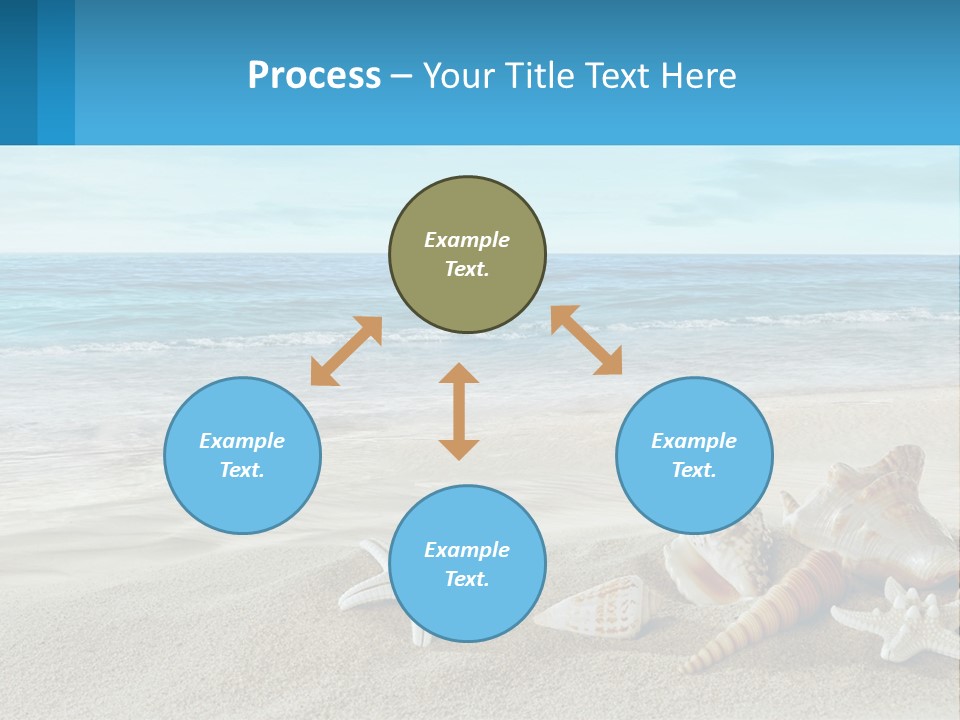 Seashells And Starfish On The Beach Powerpoint Template PowerPoint Template