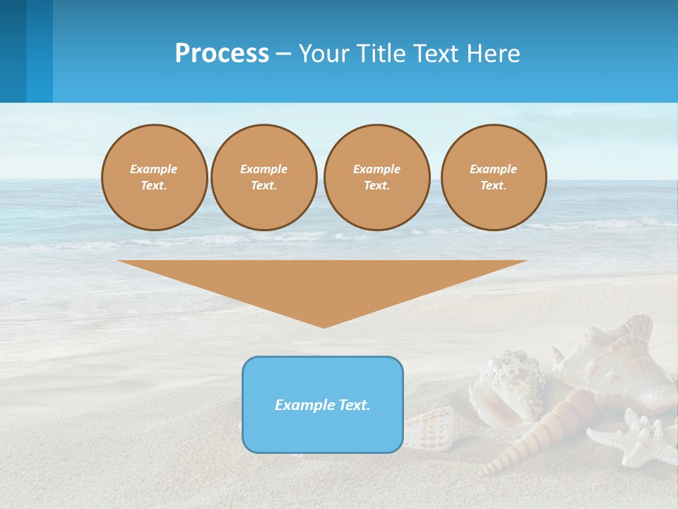 Seashells And Starfish On The Beach Powerpoint Template PowerPoint Template