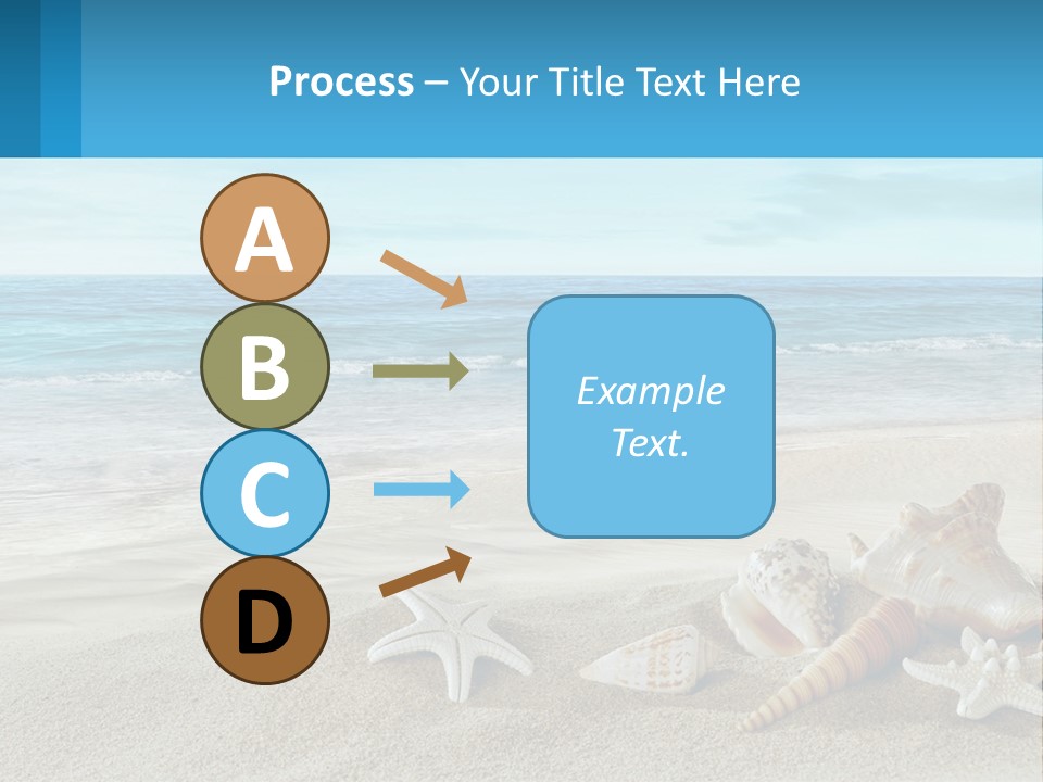 Seashells And Starfish On The Beach Powerpoint Template PowerPoint Template