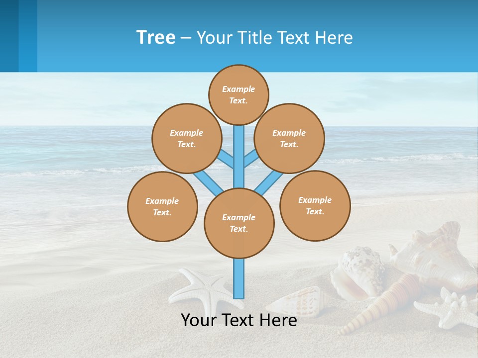 Seashells And Starfish On The Beach Powerpoint Template PowerPoint Template