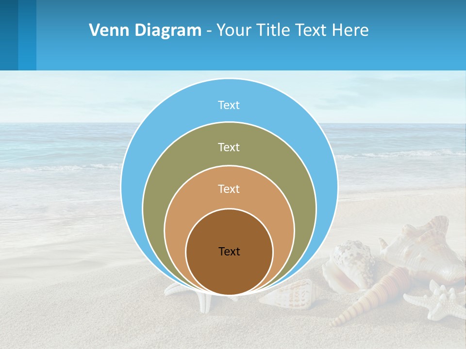 Seashells And Starfish On The Beach Powerpoint Template PowerPoint Template