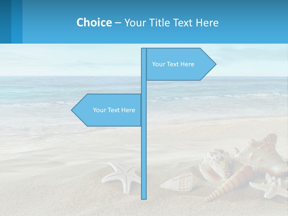 Seashells And Starfish On The Beach Powerpoint Template PowerPoint Template