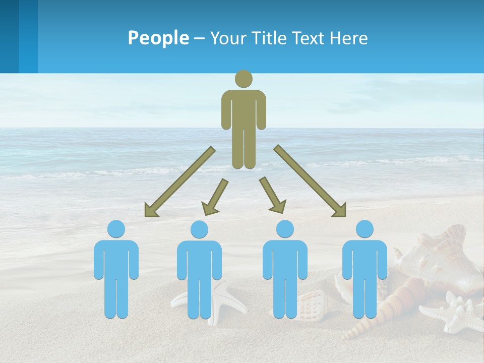 Seashells And Starfish On The Beach Powerpoint Template PowerPoint Template