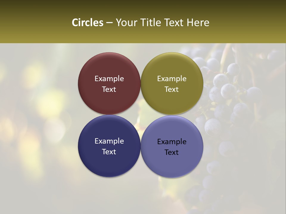 A Bunch Of Grapes Hanging From A Vine PowerPoint Template