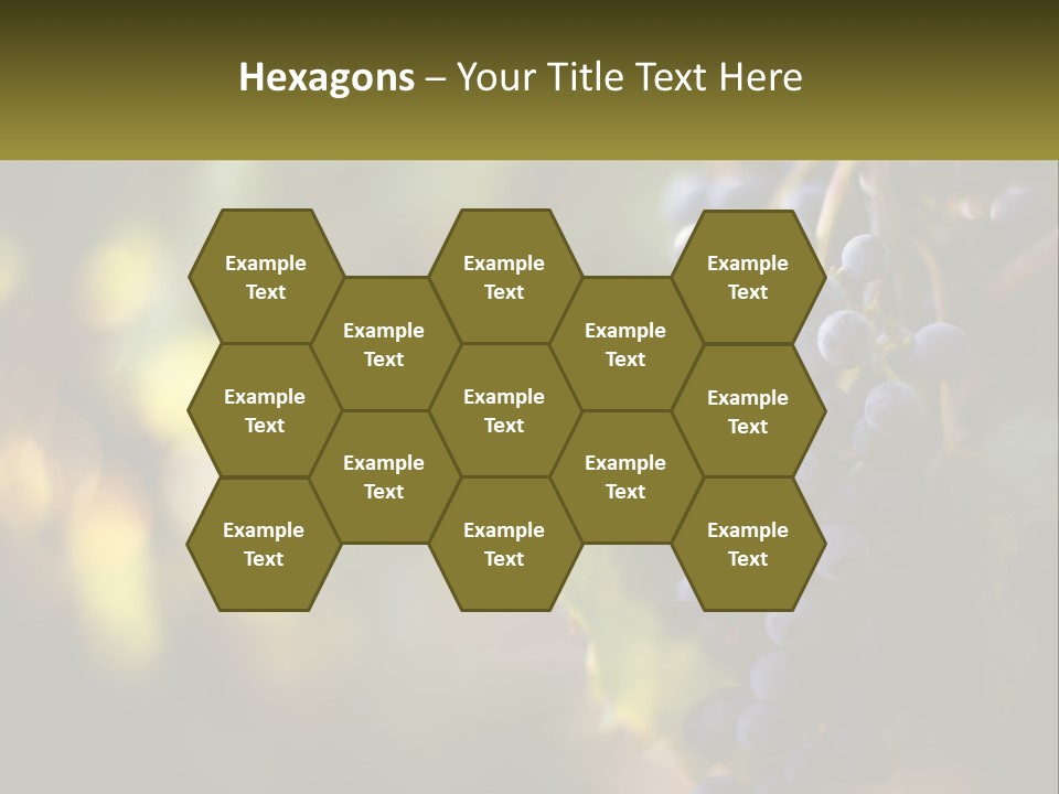 A Bunch Of Grapes Hanging From A Vine PowerPoint Template