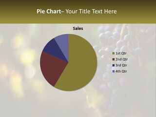 A Bunch Of Grapes Hanging From A Vine PowerPoint Template
