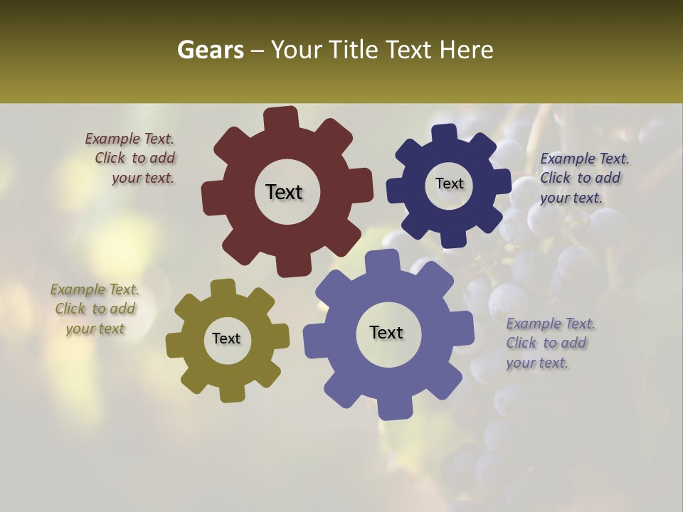 A Bunch Of Grapes Hanging From A Vine PowerPoint Template
