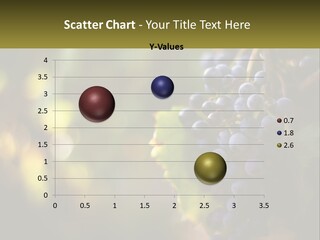 A Bunch Of Grapes Hanging From A Vine PowerPoint Template