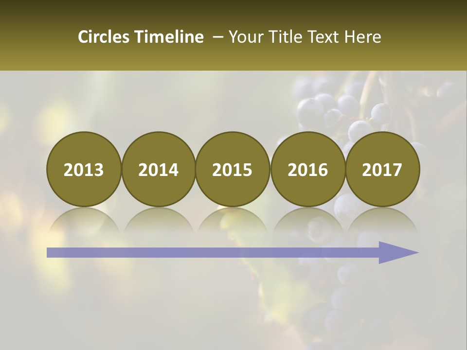 A Bunch Of Grapes Hanging From A Vine PowerPoint Template