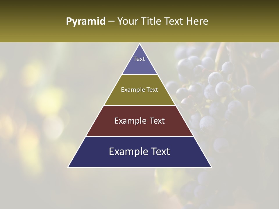 A Bunch Of Grapes Hanging From A Vine PowerPoint Template