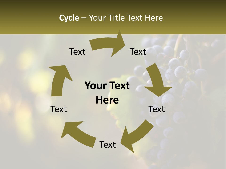 A Bunch Of Grapes Hanging From A Vine PowerPoint Template