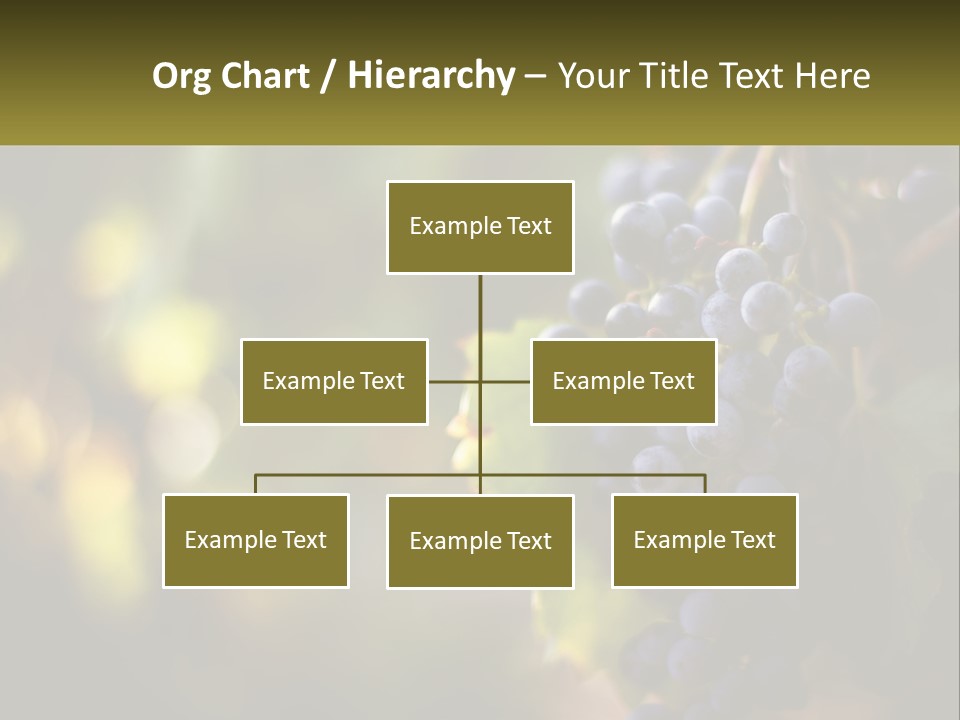 A Bunch Of Grapes Hanging From A Vine PowerPoint Template
