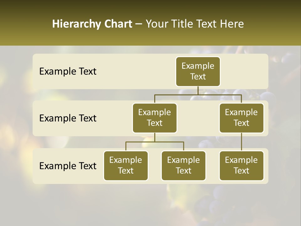 A Bunch Of Grapes Hanging From A Vine PowerPoint Template