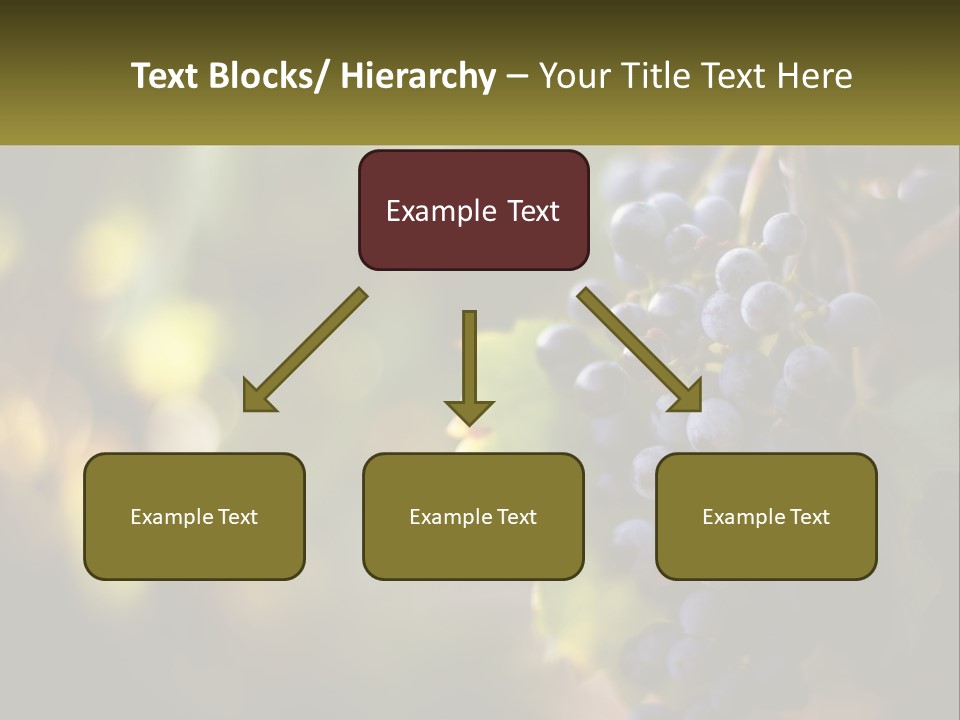 A Bunch Of Grapes Hanging From A Vine PowerPoint Template