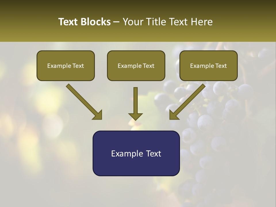 A Bunch Of Grapes Hanging From A Vine PowerPoint Template