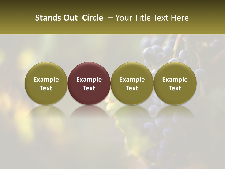 A Bunch Of Grapes Hanging From A Vine PowerPoint Template