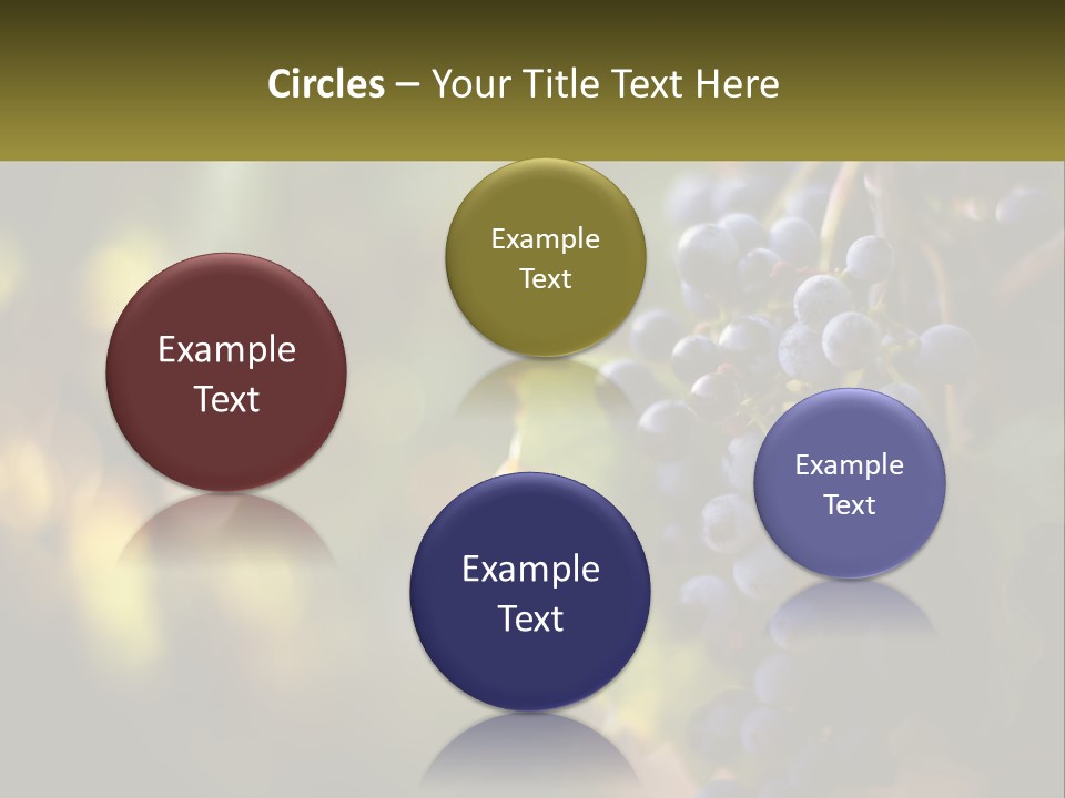 A Bunch Of Grapes Hanging From A Vine PowerPoint Template
