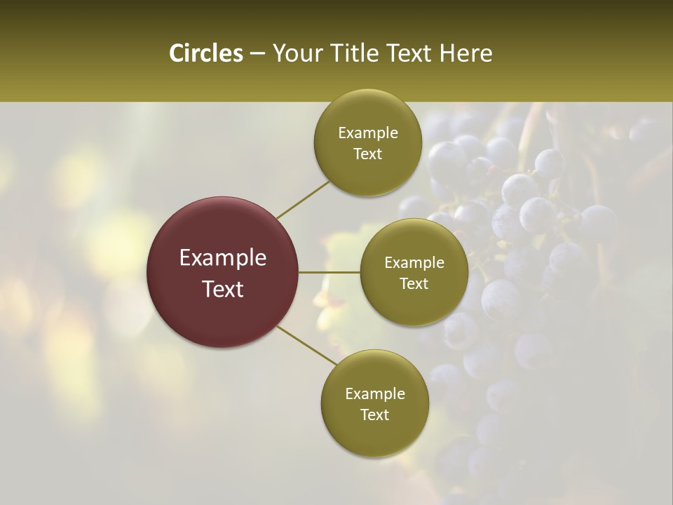 A Bunch Of Grapes Hanging From A Vine PowerPoint Template