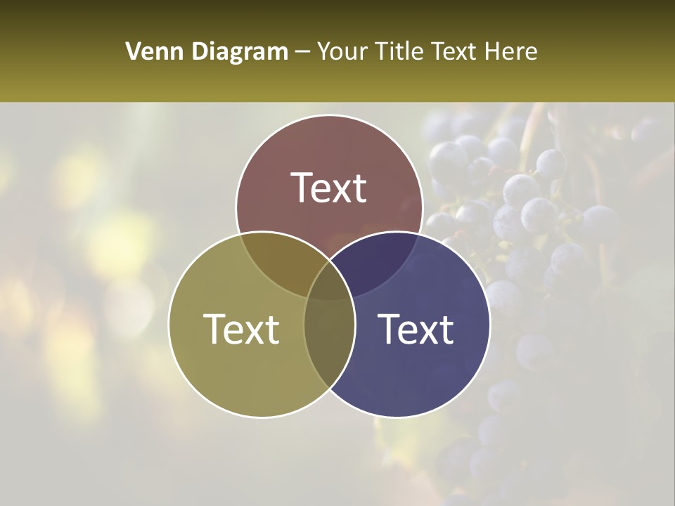 A Bunch Of Grapes Hanging From A Vine PowerPoint Template