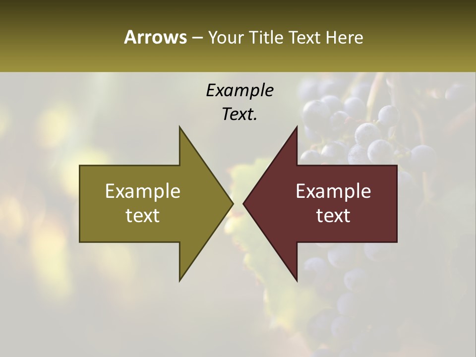 A Bunch Of Grapes Hanging From A Vine PowerPoint Template