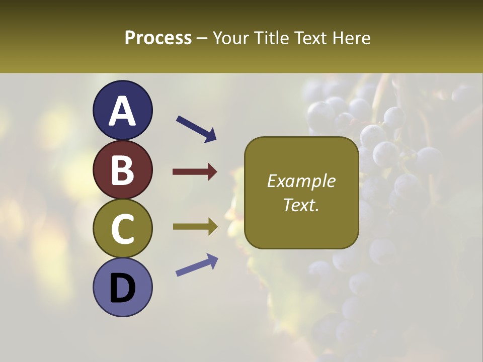 A Bunch Of Grapes Hanging From A Vine PowerPoint Template