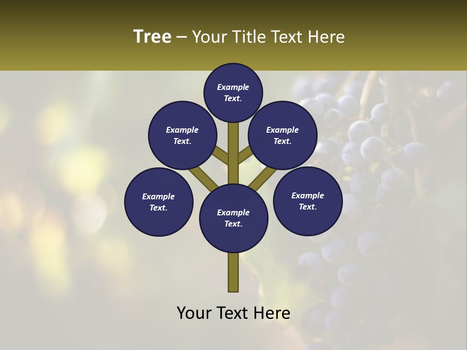 A Bunch Of Grapes Hanging From A Vine PowerPoint Template