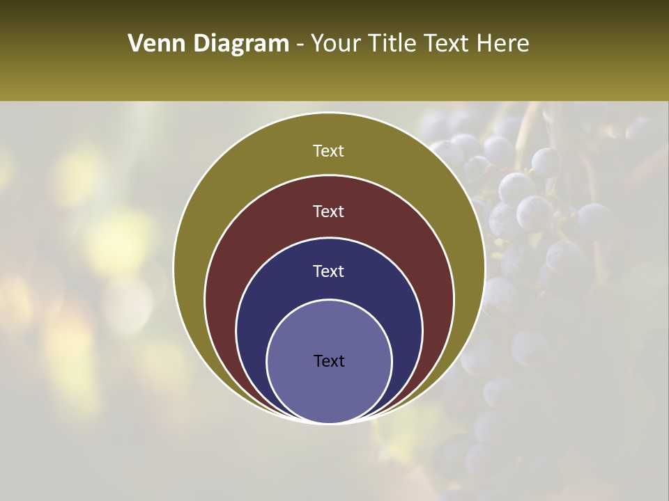 A Bunch Of Grapes Hanging From A Vine PowerPoint Template