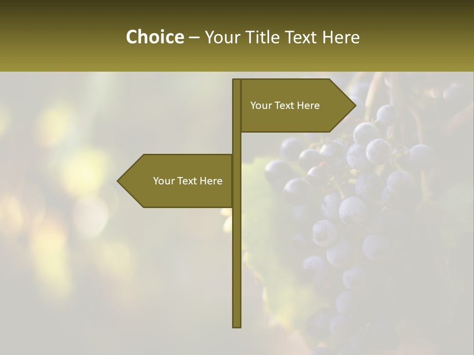 A Bunch Of Grapes Hanging From A Vine PowerPoint Template