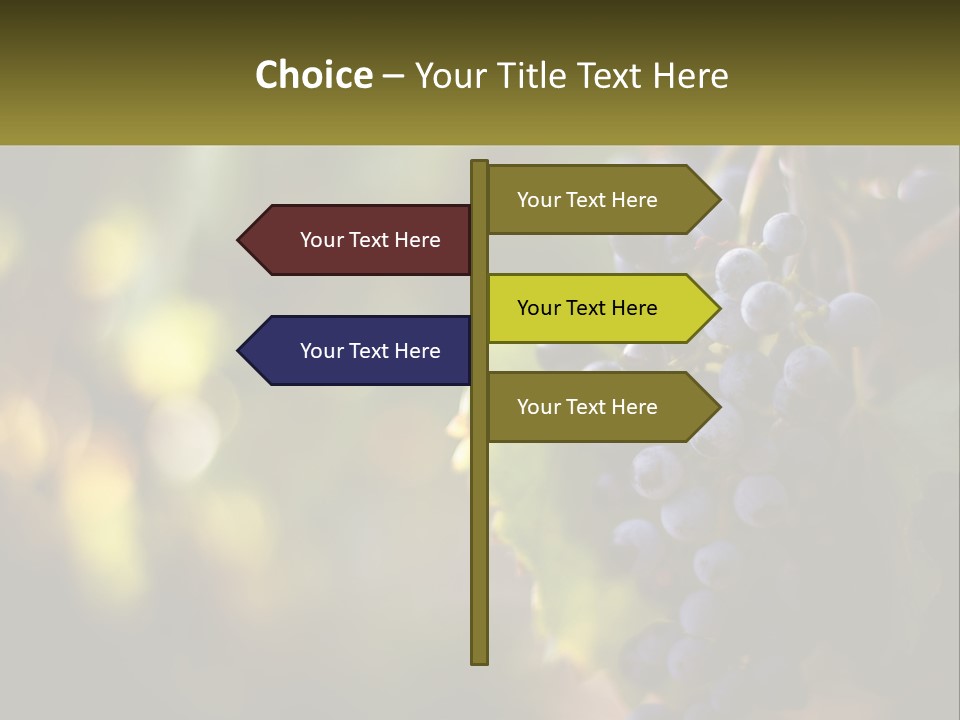 A Bunch Of Grapes Hanging From A Vine PowerPoint Template