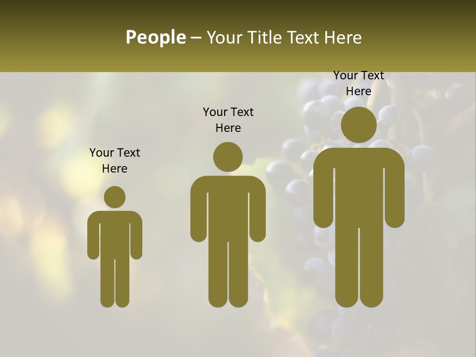 A Bunch Of Grapes Hanging From A Vine PowerPoint Template