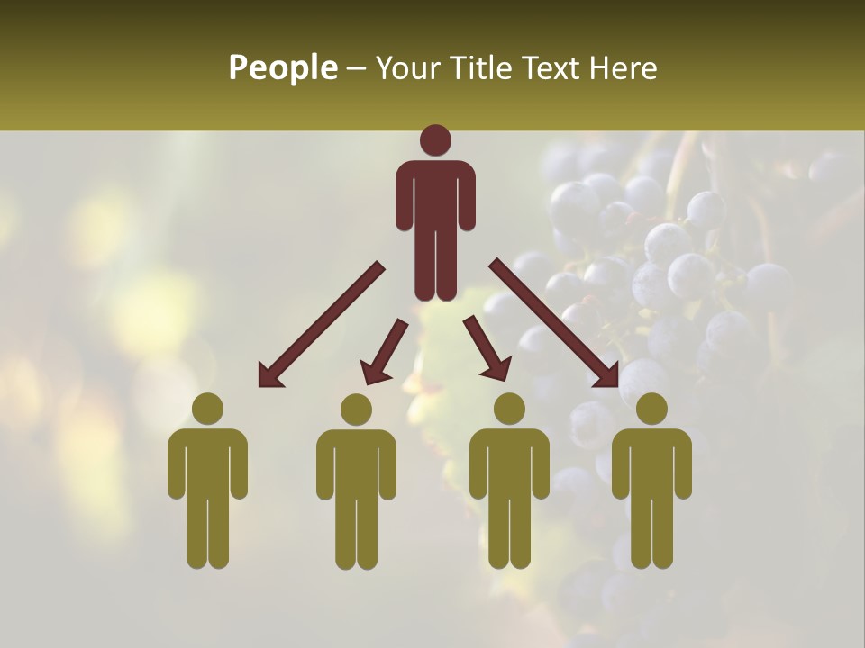 A Bunch Of Grapes Hanging From A Vine PowerPoint Template