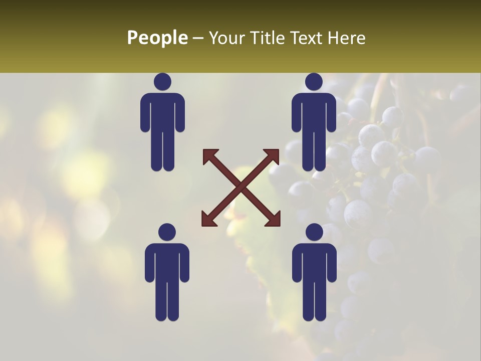 A Bunch Of Grapes Hanging From A Vine PowerPoint Template
