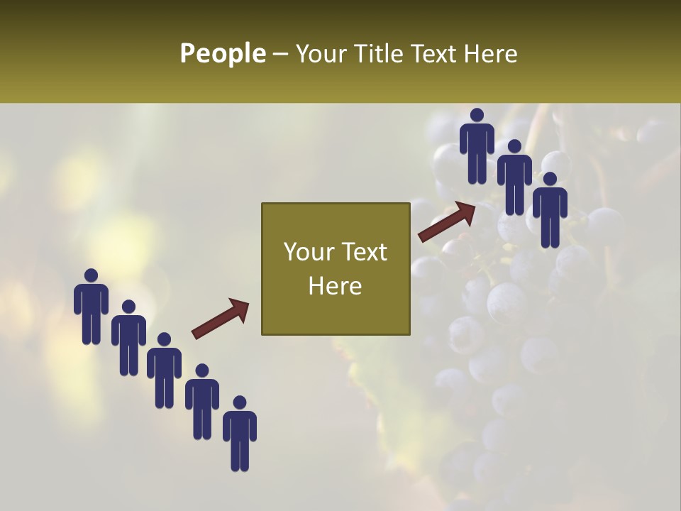 A Bunch Of Grapes Hanging From A Vine PowerPoint Template