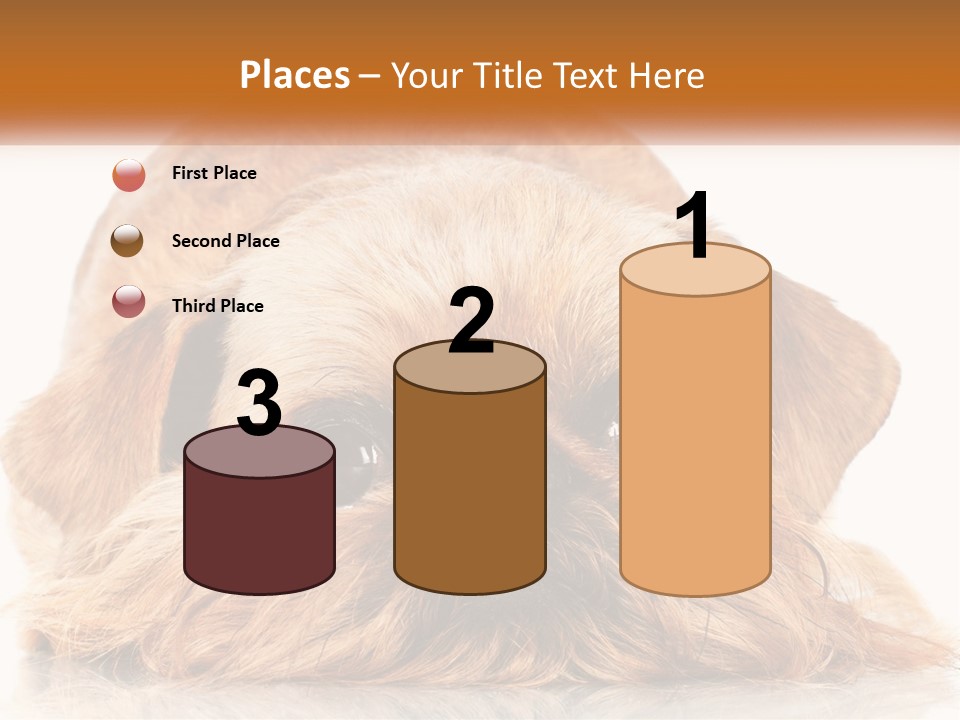A Small Brown Dog Laying On Top Of A White Floor PowerPoint Template