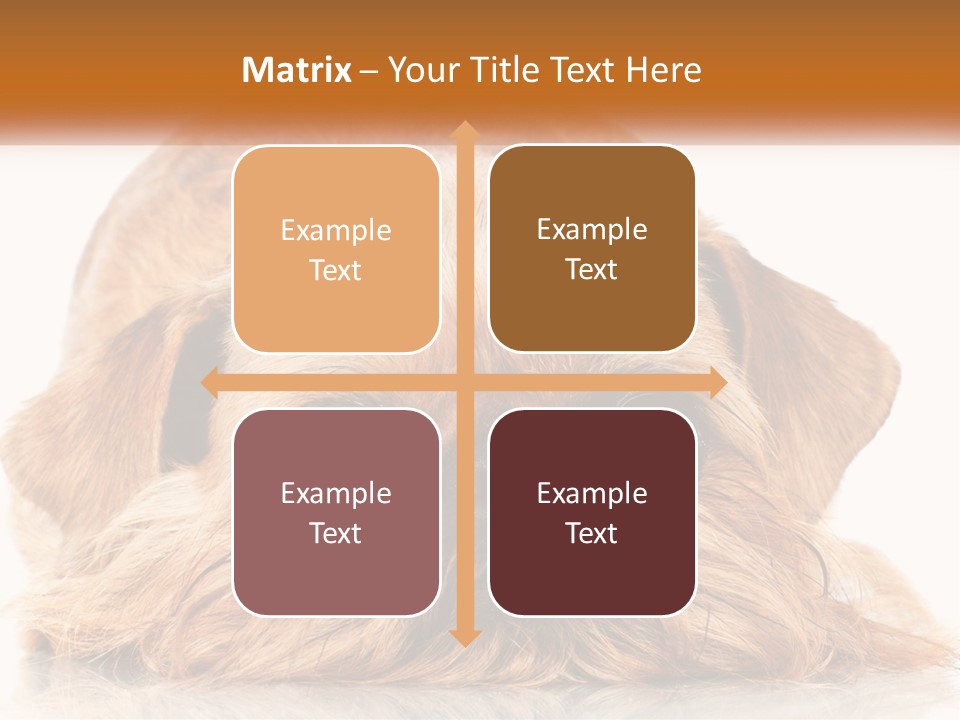 A Small Brown Dog Laying On Top Of A White Floor PowerPoint Template