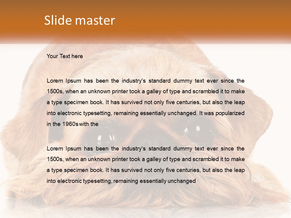 A Small Brown Dog Laying On Top Of A White Floor PowerPoint Template