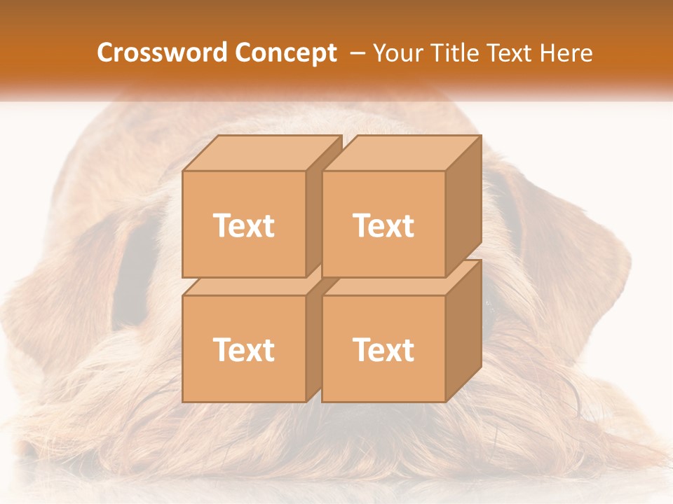 A Small Brown Dog Laying On Top Of A White Floor PowerPoint Template