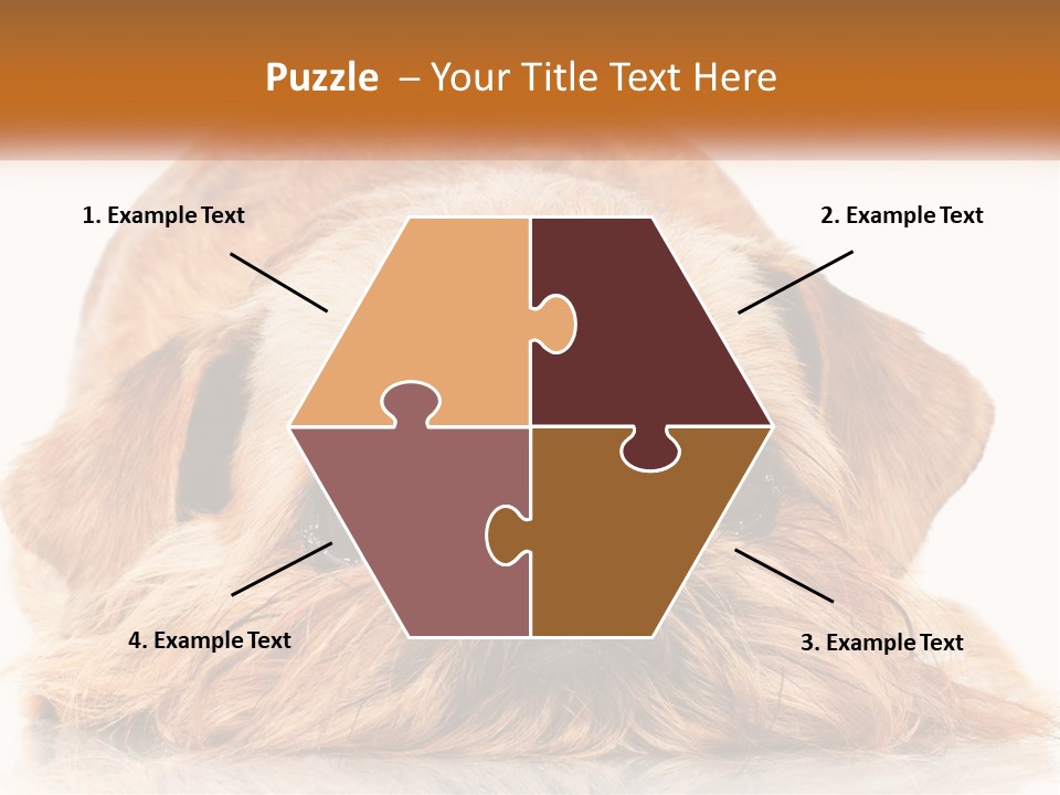 A Small Brown Dog Laying On Top Of A White Floor PowerPoint Template