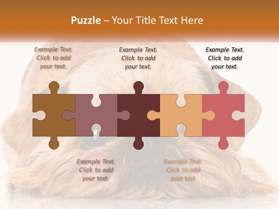 A Small Brown Dog Laying On Top Of A White Floor PowerPoint Template