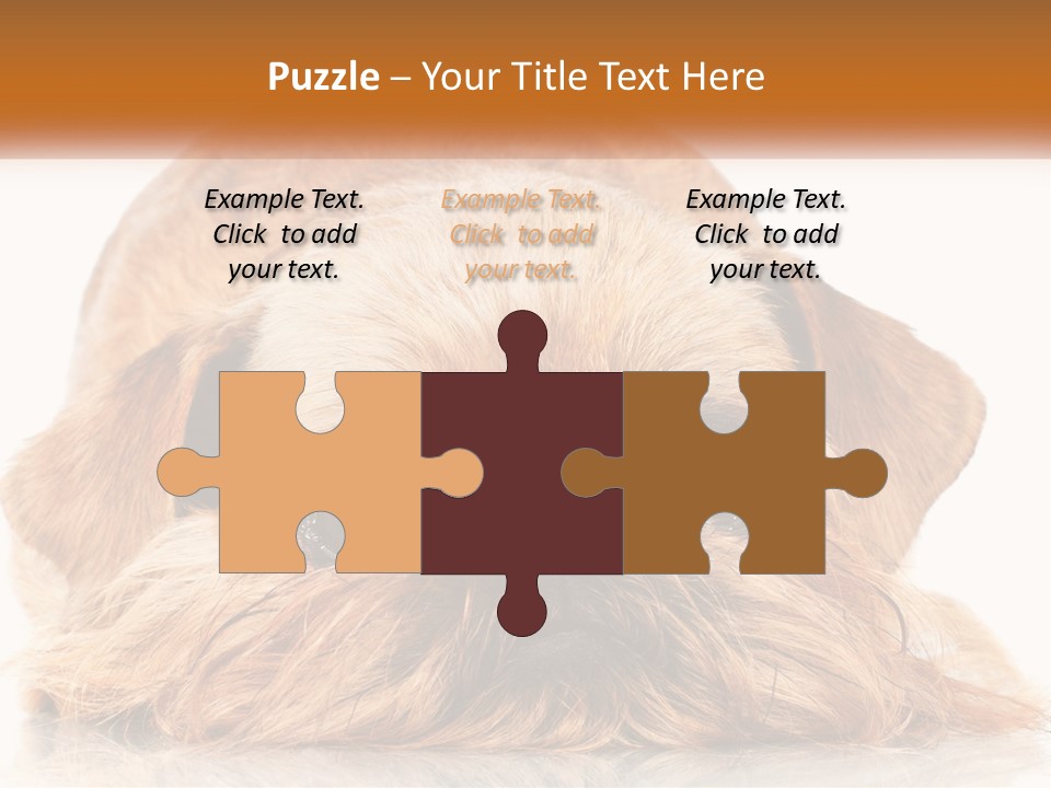 A Small Brown Dog Laying On Top Of A White Floor PowerPoint Template