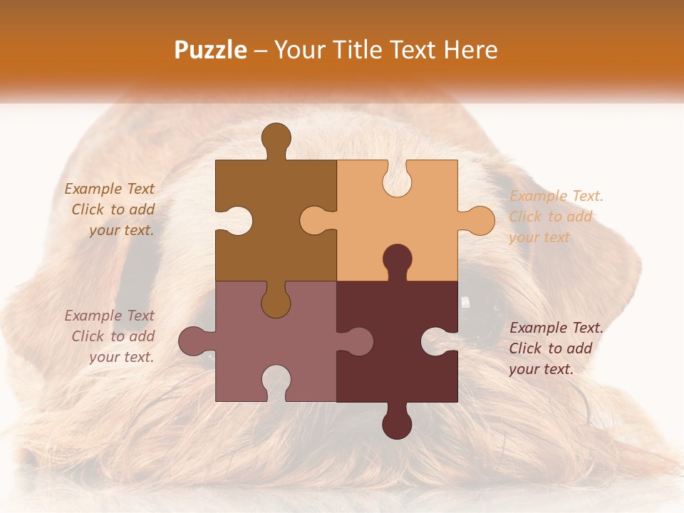 A Small Brown Dog Laying On Top Of A White Floor PowerPoint Template