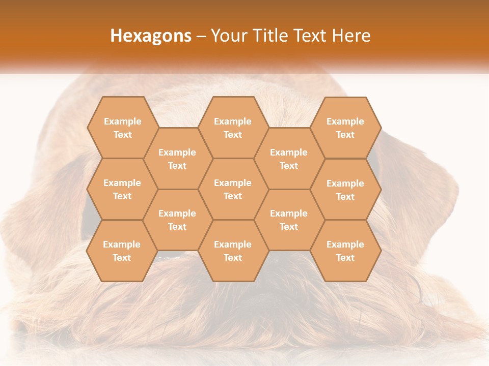 A Small Brown Dog Laying On Top Of A White Floor PowerPoint Template