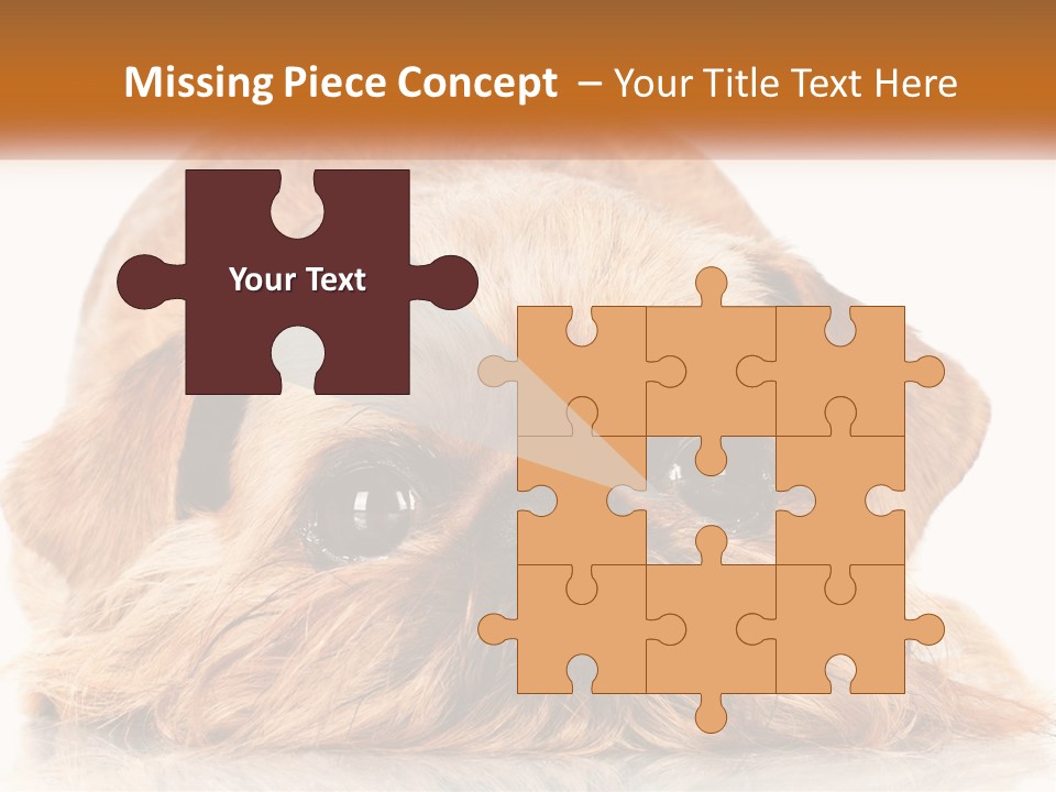 A Small Brown Dog Laying On Top Of A White Floor PowerPoint Template