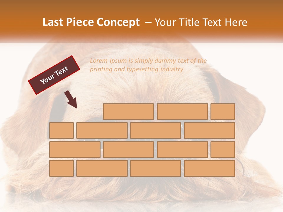 A Small Brown Dog Laying On Top Of A White Floor PowerPoint Template