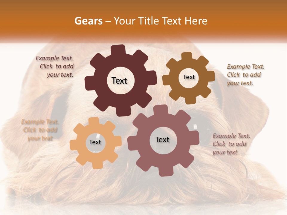 A Small Brown Dog Laying On Top Of A White Floor PowerPoint Template
