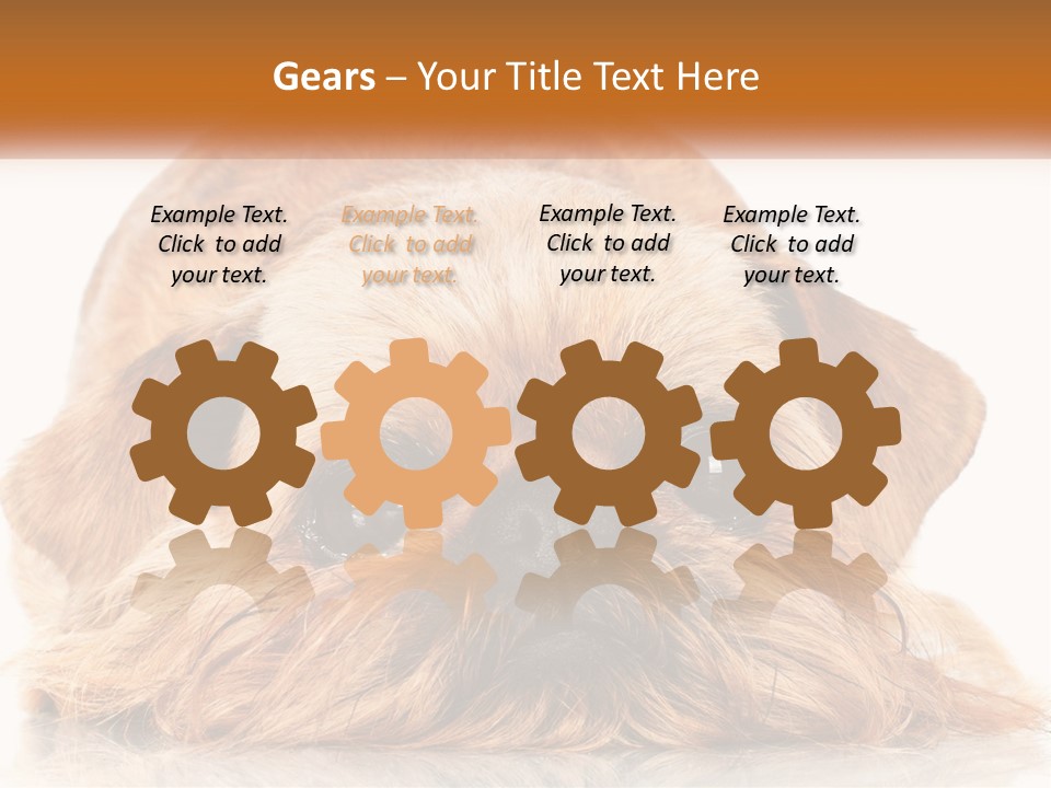 A Small Brown Dog Laying On Top Of A White Floor PowerPoint Template