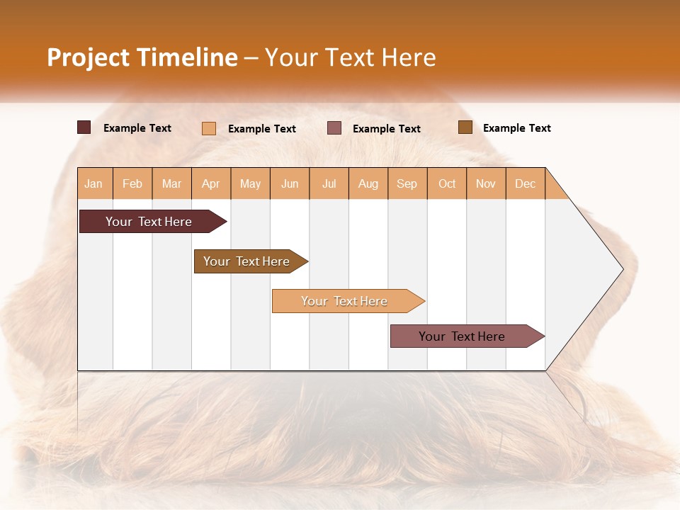 A Small Brown Dog Laying On Top Of A White Floor PowerPoint Template
